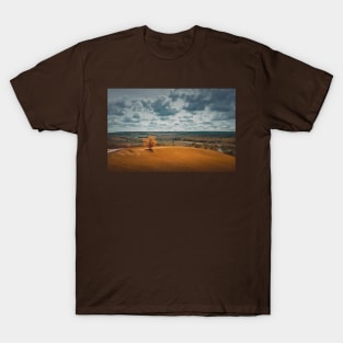 Picturesque autumnal landscape T-Shirt